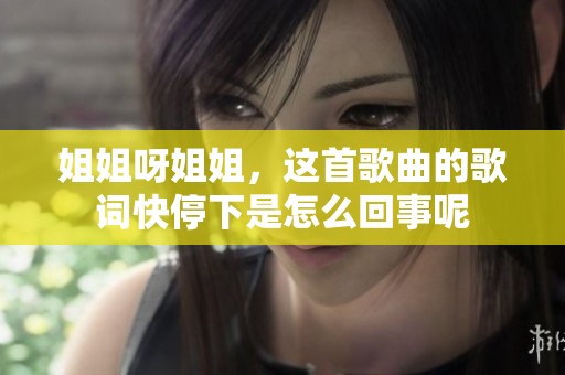 姐姐呀姐姐，这首歌曲的歌词快停下是怎么回事呢