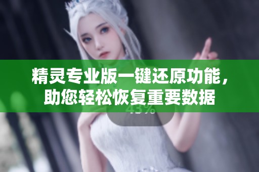 精灵专业版一键还原功能，助您轻松恢复重要数据