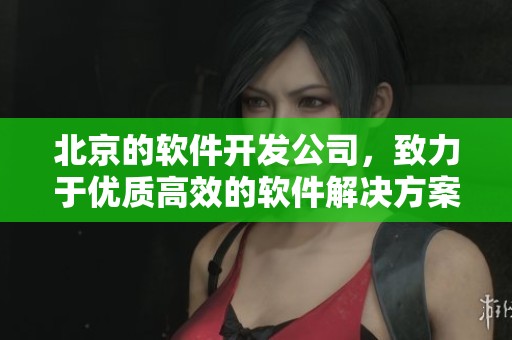 北京的软件开发公司，致力于优质高效的软件解决方案。