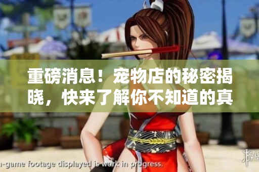 重磅消息！宠物店的秘密揭晓，快来了解你不知道的真相！
