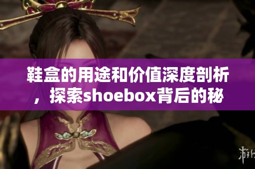 鞋盒的用途和价值深度剖析，探索shoebox背后的秘密与故事